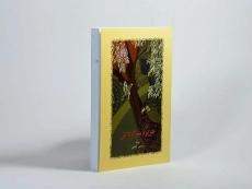 کتاب جزیره سرگردانی | سیمین دانشور - 2