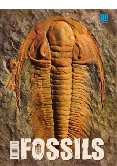 کتاب دانشنامه مصور دنیای شگفت انگیز سنگواره ها - 1