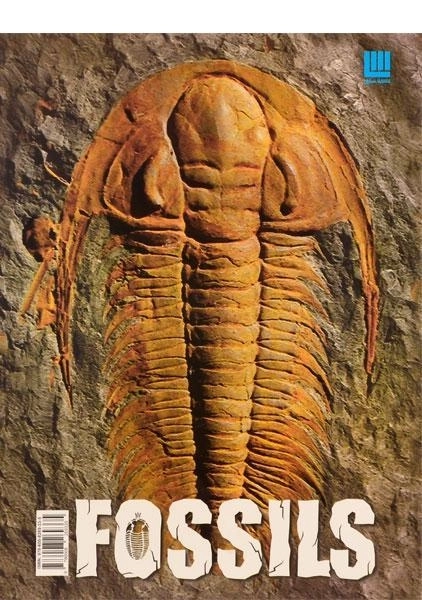 کتاب دانشنامه مصور دنیای شگفت انگیز سنگواره ها - 1