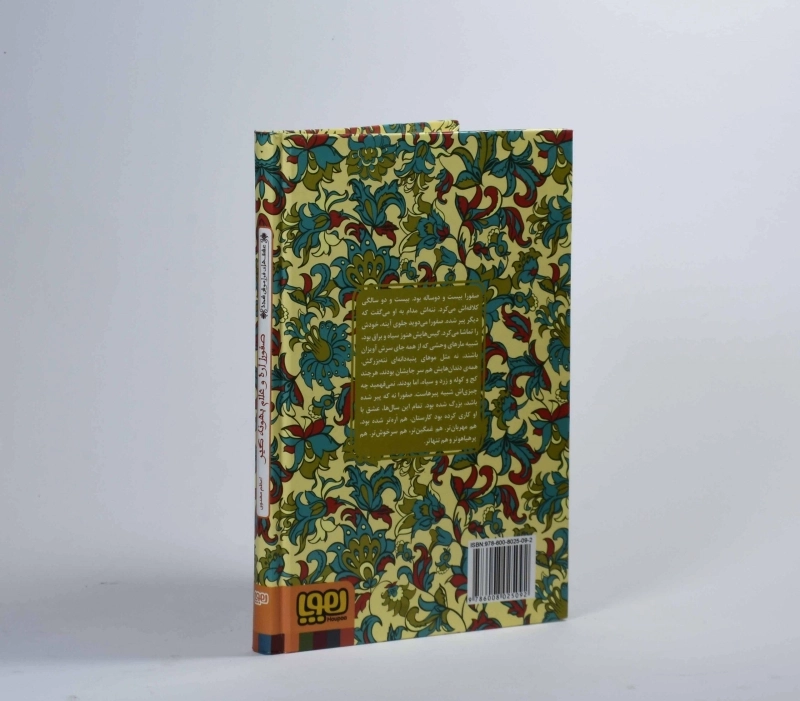 کتاب صفورا اره و غلام بهونه گیر (عشق های فراموش شده) - 2