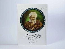 کتاب دیوان صفیعلی شاه - 3