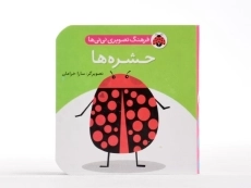 کتاب حشره ها (فرهنگ تصویری نی نی ها) - 4