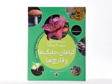 کتاب گیاهان، جلبک ها و قارچ ها (دانشنامه تصویری بریتانیکا) - 4