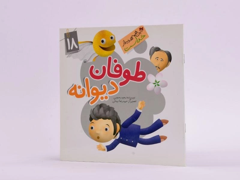 کتاب طوفان دیوانه (این همه هدیه از خداست 18) - 2