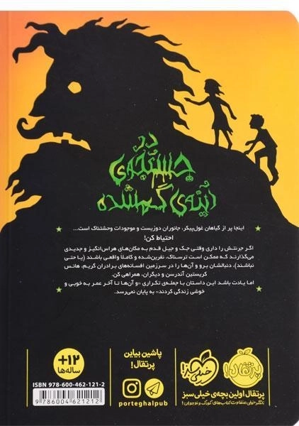 کتاب در جستجوی آینه ی گمشده (دوباره با برادران گریم 2) - 1