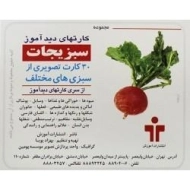 کارتهای دید آموز (سبزیجات)