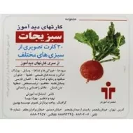 کارتهای دید آموز (سبزیجات)