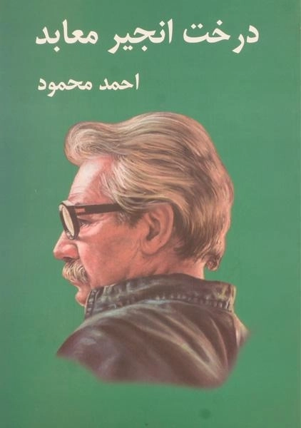 کتاب درخت انجیر معابد | احمد محمود - 2