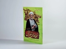 کتاب نسخه های شفابخش - شعبانی مفرد - 2