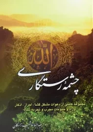 کتاب چشمه رستگاری | شهیب زادگان