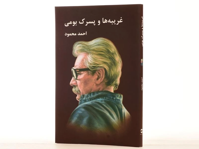 کتاب غریبه ها و پسرک بومی | احمد محمود - 2