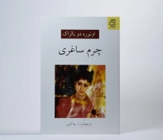 کتاب چرم ساغری | اونوره دو بالزاک؛ انتشارات ناهید - 2