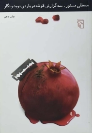 کتاب سه گزارش کوتاه درباره ی نوید و نگار