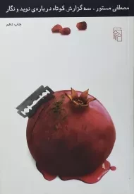 کتاب سه گزارش کوتاه درباره ی نوید و نگار