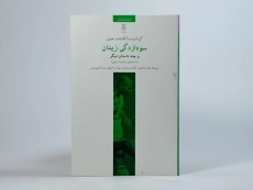 کتاب سودازدگی زیدان - آلکساندار همون - 3