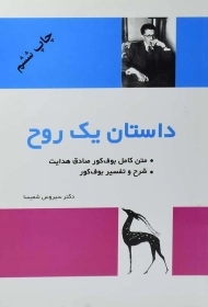 کتاب داستان یک روح | سیروس شمیسا