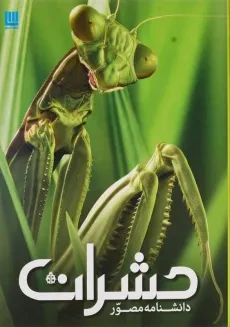 کتاب دانشنامه مصور حشرات - سایان