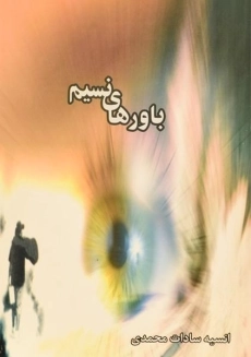 کتاب باورهای نسیم | سادات محمدی