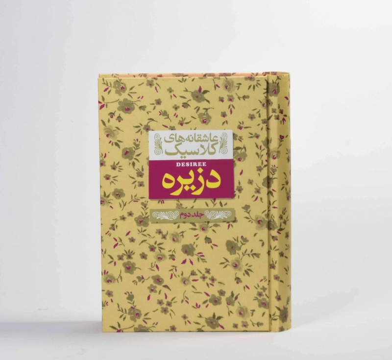 کتاب دزیره جلد 2 (عاشقانه های کلاسیک) - 5