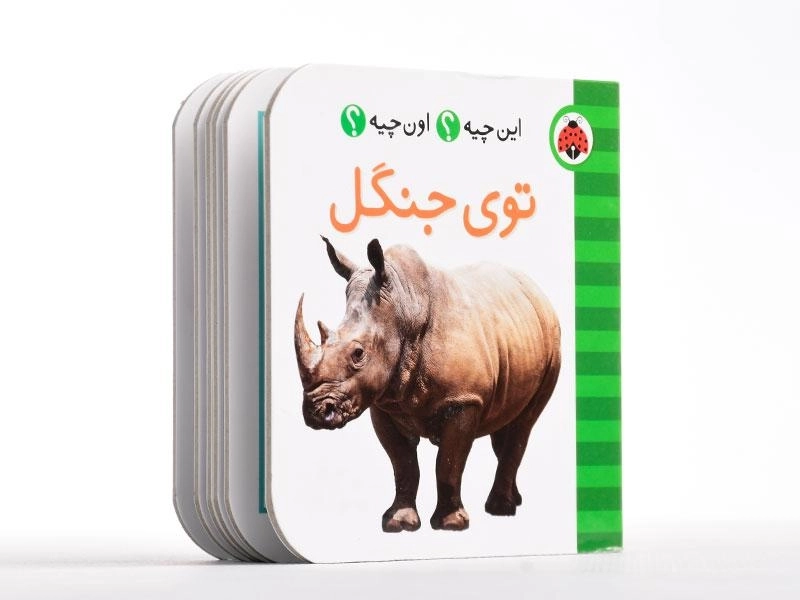 کتاب توی جنگل (این چیه؟ اون چیه؟) - 4