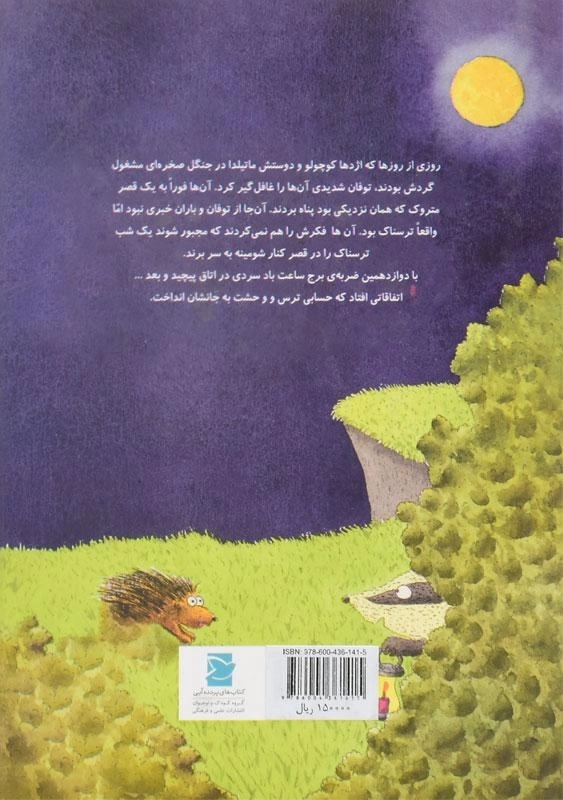 کتاب ماجرای عجیب در قصر صخره ای - 1