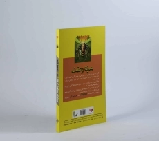 کتاب سایه وحشت 1 (چرا از زنبورها می&zwnj;ترسم) - 2