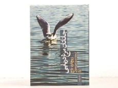 کتاب جاناتان مرغ دریایی