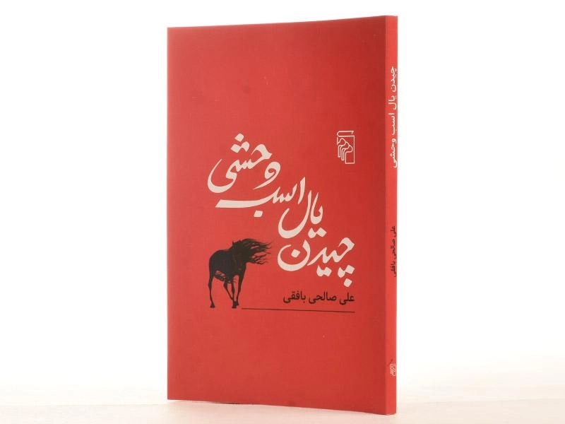 کتاب چیدن یال اسب وحشی - صالحی بافقی - 2