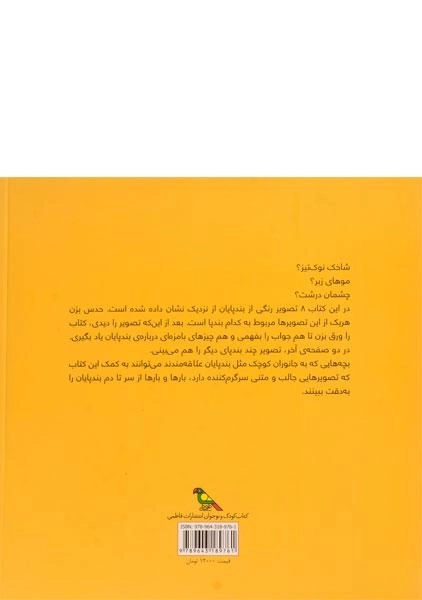 کتاب بندپایان از سر تا دم - 1