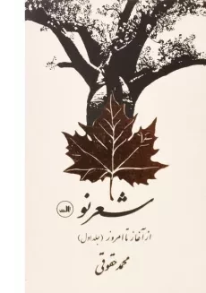 کتاب شعر نو از آغاز تا امروز - حقوقی (2 جلدی) - 1