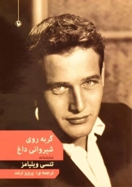 کتاب گربه روی شیروانی داغ - تنسی ویلیامز