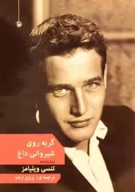 کتاب گربه روی شیروانی داغ - تنسی ویلیامز