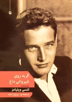 کتاب گربه روی شیروانی داغ - تنسی ویلیامز