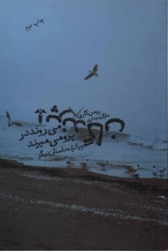 کتاب پرندگان می روند در پرو می میرند - رومن گاری