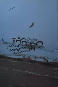 کتاب پرندگان می روند در پرو می میرند - رومن گاری