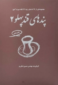 کتاب پندهای قندپهلو (جلد 2)