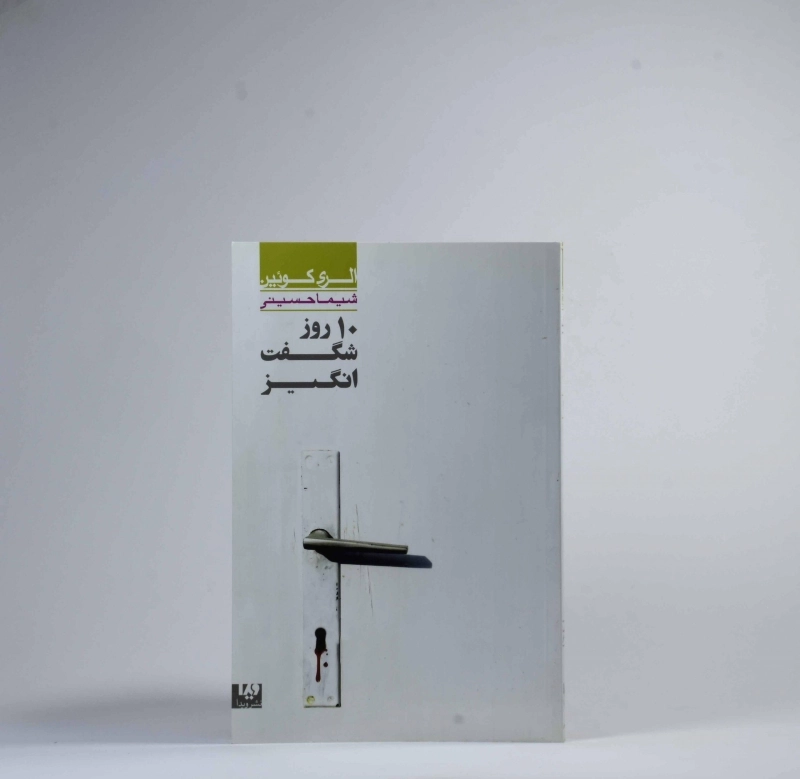 کتاب 10 روز شگفت انگیز - الری کوئین - 3