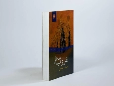 کتاب غروب ساحل - عفت رحمانی - 2