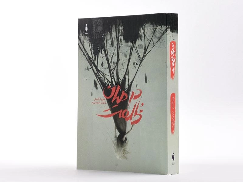 کتاب در میان ظلمت - باژ - 2