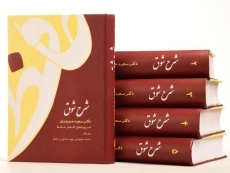 کتاب شرح شوق - سعید حمیدیان (5 جلدی) - 8