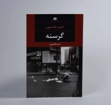 کتاب گرسنه - کنوت هامسون - 2