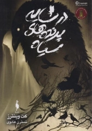 کتاب در سایه پرنده های سیاه