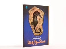 کتاب دانشنامه مصور دنیای شگفت انگیز سنگواره ها - 4