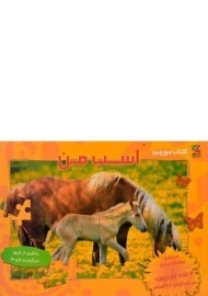 کتاب اسب من