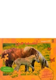 کتاب اسب من