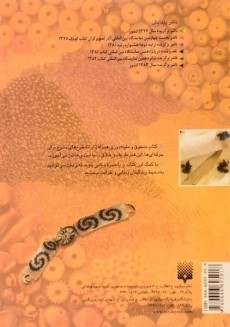 کتاب منجوق و ملیله دوزی | جمشید کاویانی - 1