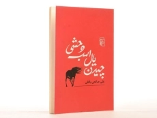 کتاب چیدن یال اسب وحشی - صالحی بافقی - 3