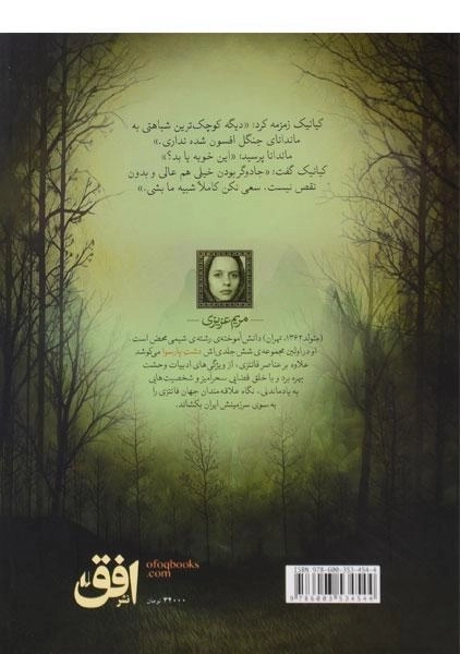 کتاب اژدهای چهار بال (دشت پارسوا 5) - 1