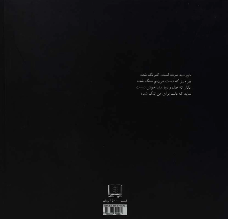 کتاب مردی که نرفته است برمی گردد - مهدی موسوی - 1