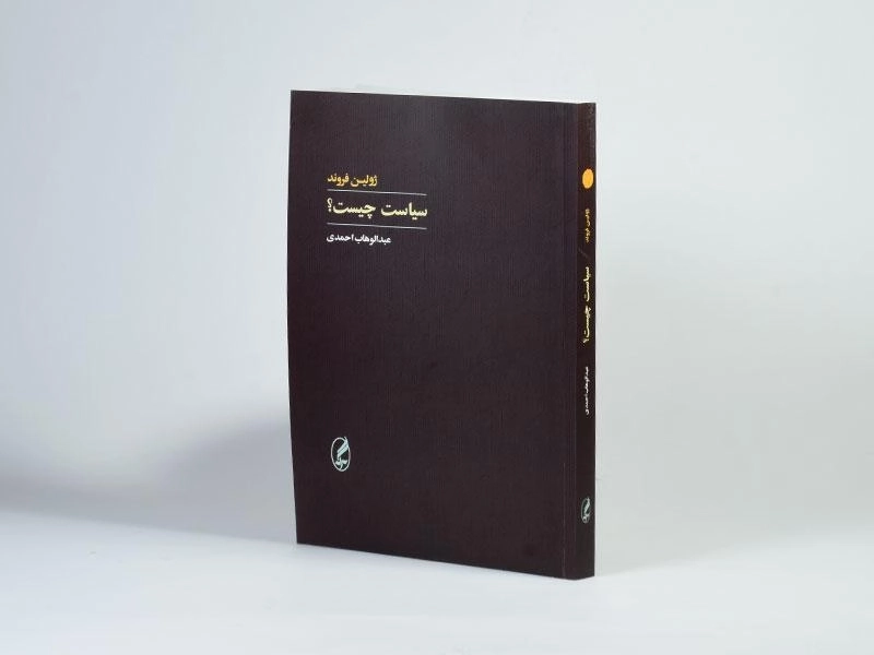 کتاب سیاست چیست؟ اثر ژولین فروند - 2